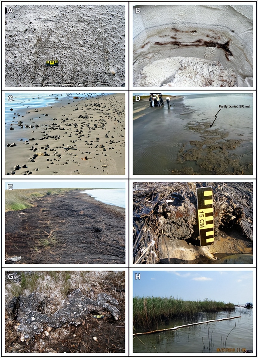 被海上溢油“染黑”的海岸线PA视讯环保热解技术助力守护海洋生命线